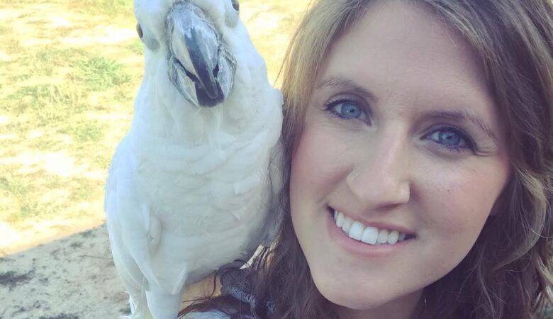 At what age can cockatoos be adopted?