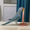 indian ringneck parakeet for sale